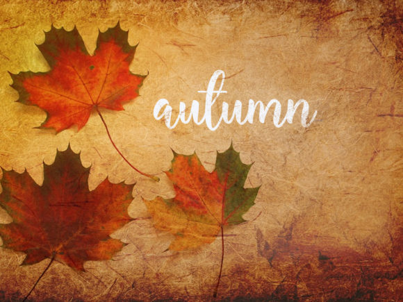 Blog Image 3